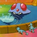The Sea Monsters on Random Reasons the Pokemon Universe Is Actually Really Disturbing