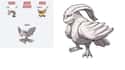 Oneot (Onix + Pidgeot) on Random Epic Pokémon Fusions That Are Too Weird For Words