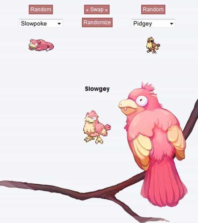 Slowgey (Slowpoke + Pidgey)
