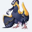 Beeot (Beedrill + Pidgeot) on Random Epic Pokémon Fusions That Are Too Weird For Words