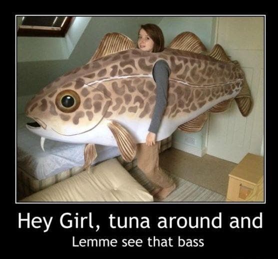 Funny Fish Puns & Sea Creature Memes