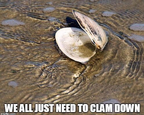 Funny Fish Puns & Sea Creature Memes