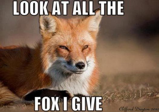 25 Funny Animal Pun Memes You Can T Help But Laugh At