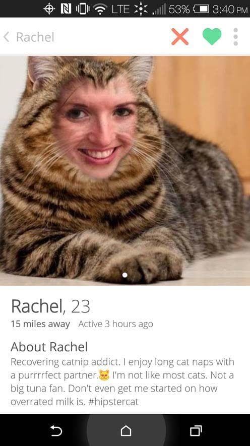 Worst tinder profiles