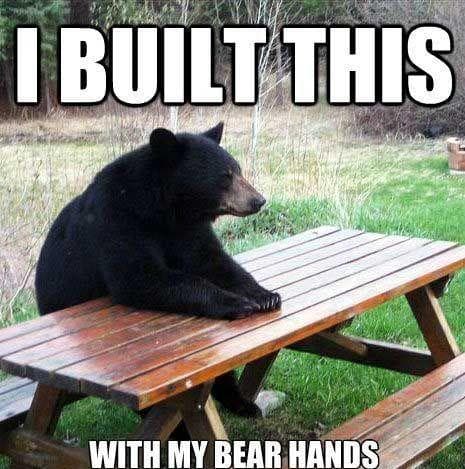 Bear Puns | Funny Bear Memes
