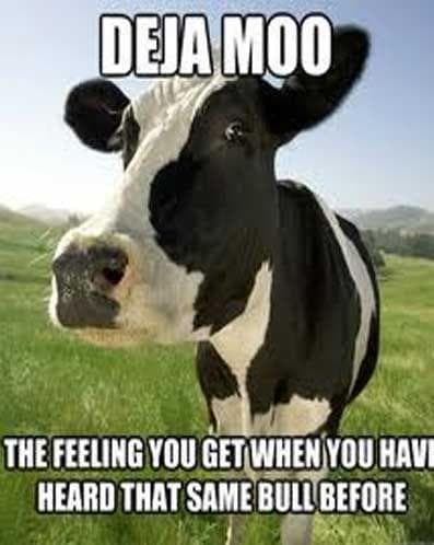 Cow Puns | Funny Cow Memes