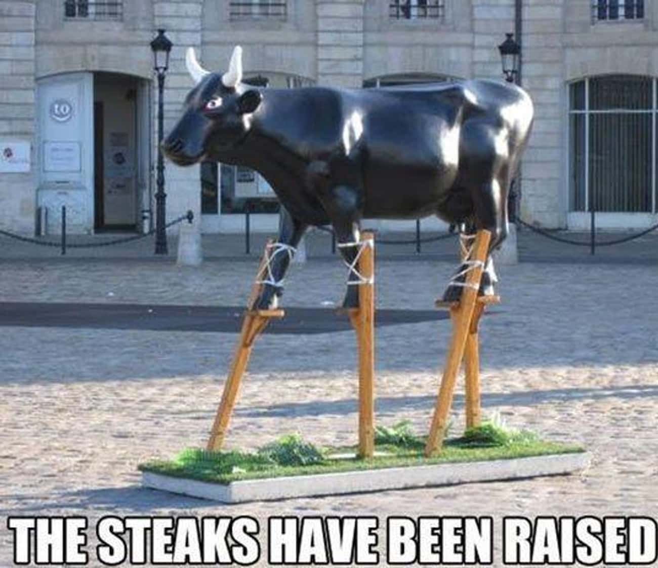 Huge Missed Steak