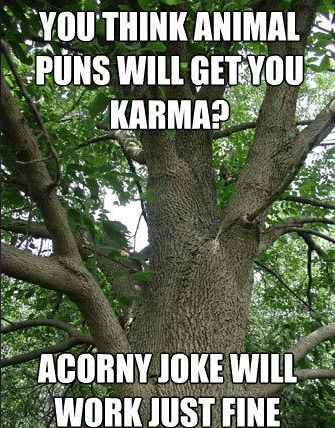 Funny Tree Puns And Memes, Ranked