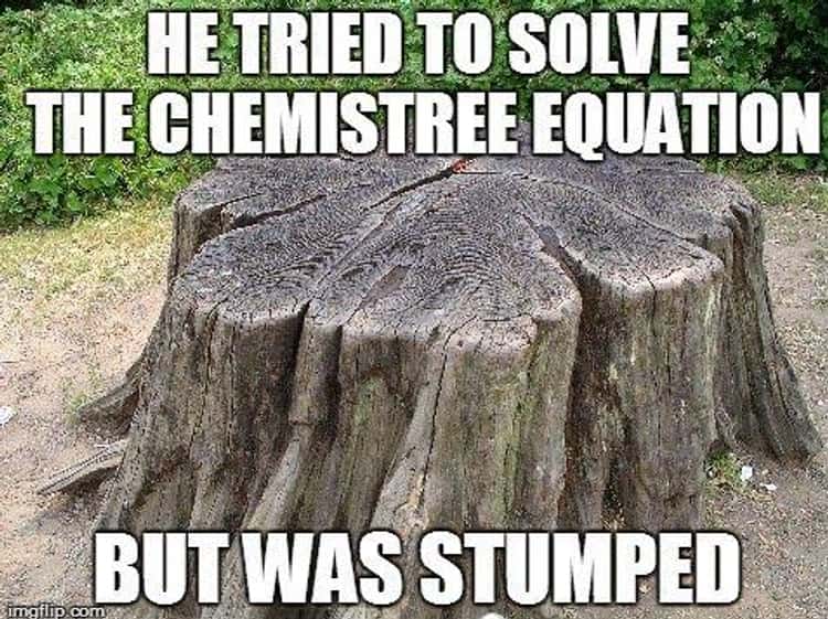 Tree Puns | Funny Tree Memes