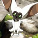 Momo Is an Incarnation of Aye-Aye, the Lemur Spirit on Random Insane Fan Theories About 'Avatar: The Last Airbender'
