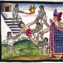 Removal Of The Heart: The Aztecs on Random Brutal Human Sacrifice Practices Throughout History