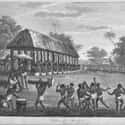 Mass Decapitation Of Slaves: The Dahomey on Random Brutal Human Sacrifice Practices Throughout History