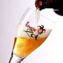 De Halve Maan - Brugse Zot Blond on Random Best Belgian Beers