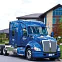Melton Truck Lines on Random Trucking Companies That Hire Felons