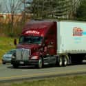 Millis Transfer on Random Trucking Companies That Hire Felons