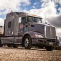 E.W Wylie on Random Trucking Companies That Hire Felons