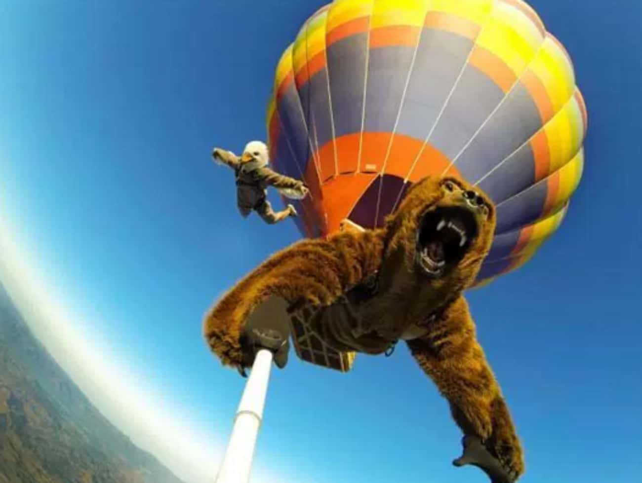 Skydiving Selfie Stick: Bear Edition