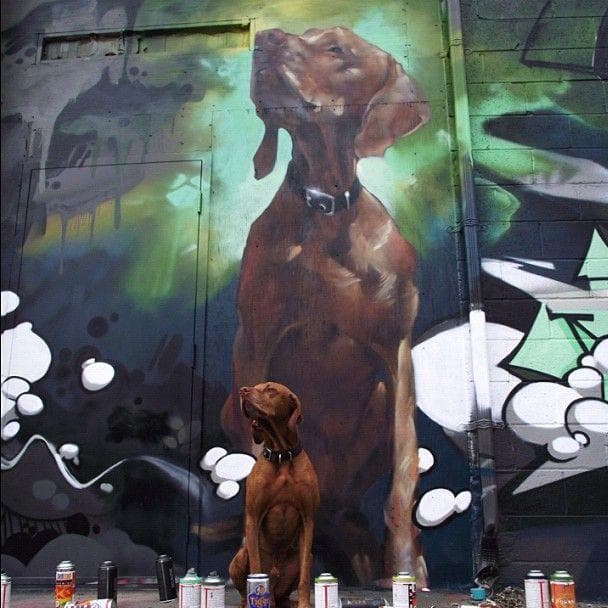 Random Photos That Were Snapped at the Absolute Perfect Time | Best ...