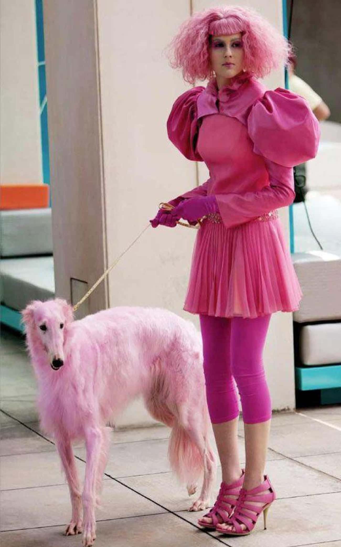 Голодные мода. Розовая собака. Смешное розовое платье. Девушка вся в розовом.