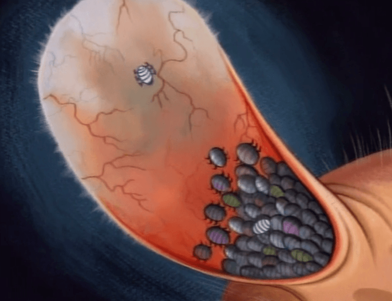 Disgusting Ren and Stimpy CloseUp Shots