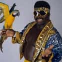 Koko B. Ware on Random Best WWE Superstars of '80s