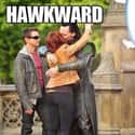 Well, This is Hawkward on Random Hilarious Third Wheel Photos of People Who Are Destined to Die Alone