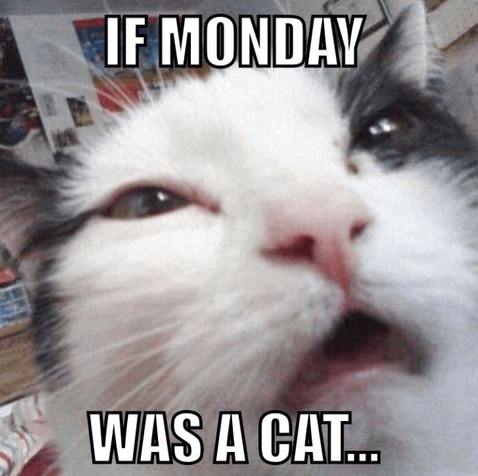 People With a Serious Case of the Mondays