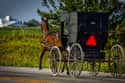 Even the Amish Like to Haul Ass on Random Surprising Rumspringa Facts About Amish Tradition Of Rumspringa