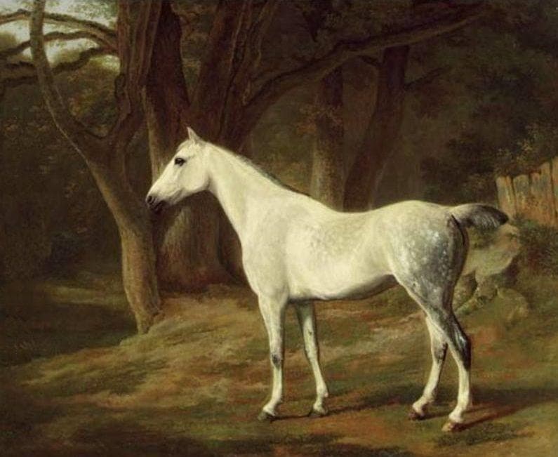 The Haunted Intersection, Where Ghost Horses Roam