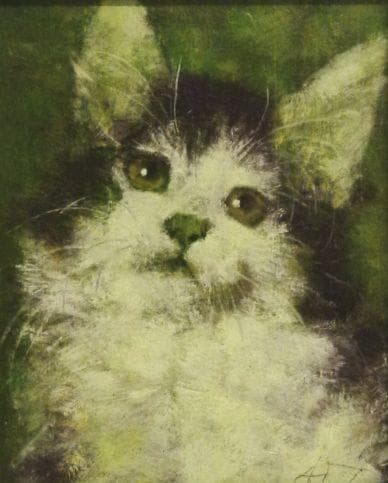 Wiggie, Who Sensed Asbestos From Beyond