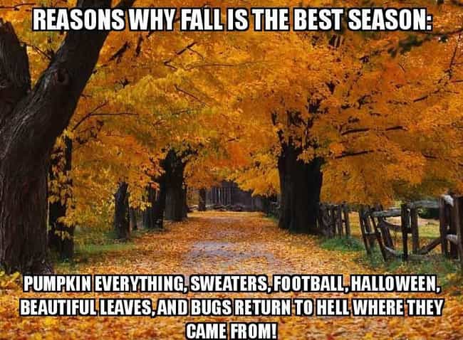 Image result for fall memes