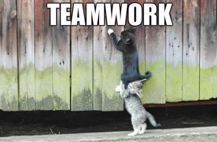 teamwork fail meme