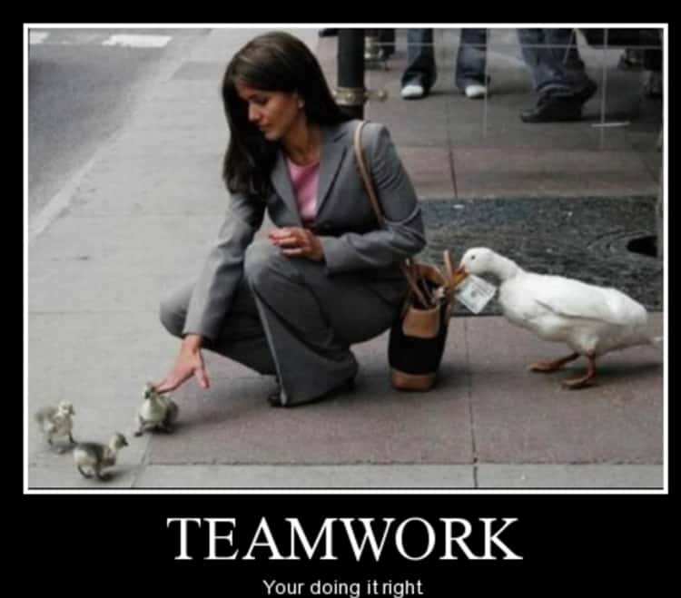 bad teamwork funny