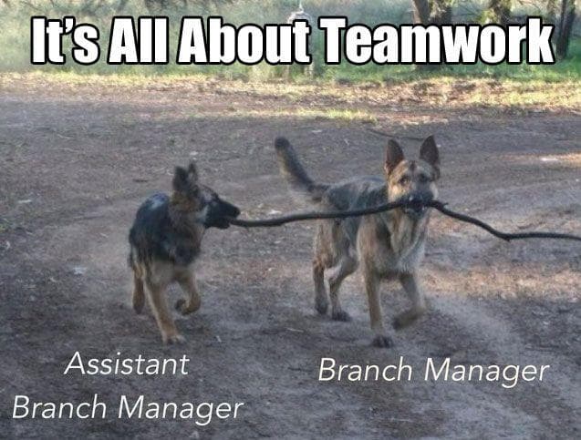 22 Awesome Examples Of Teamwork Done Right