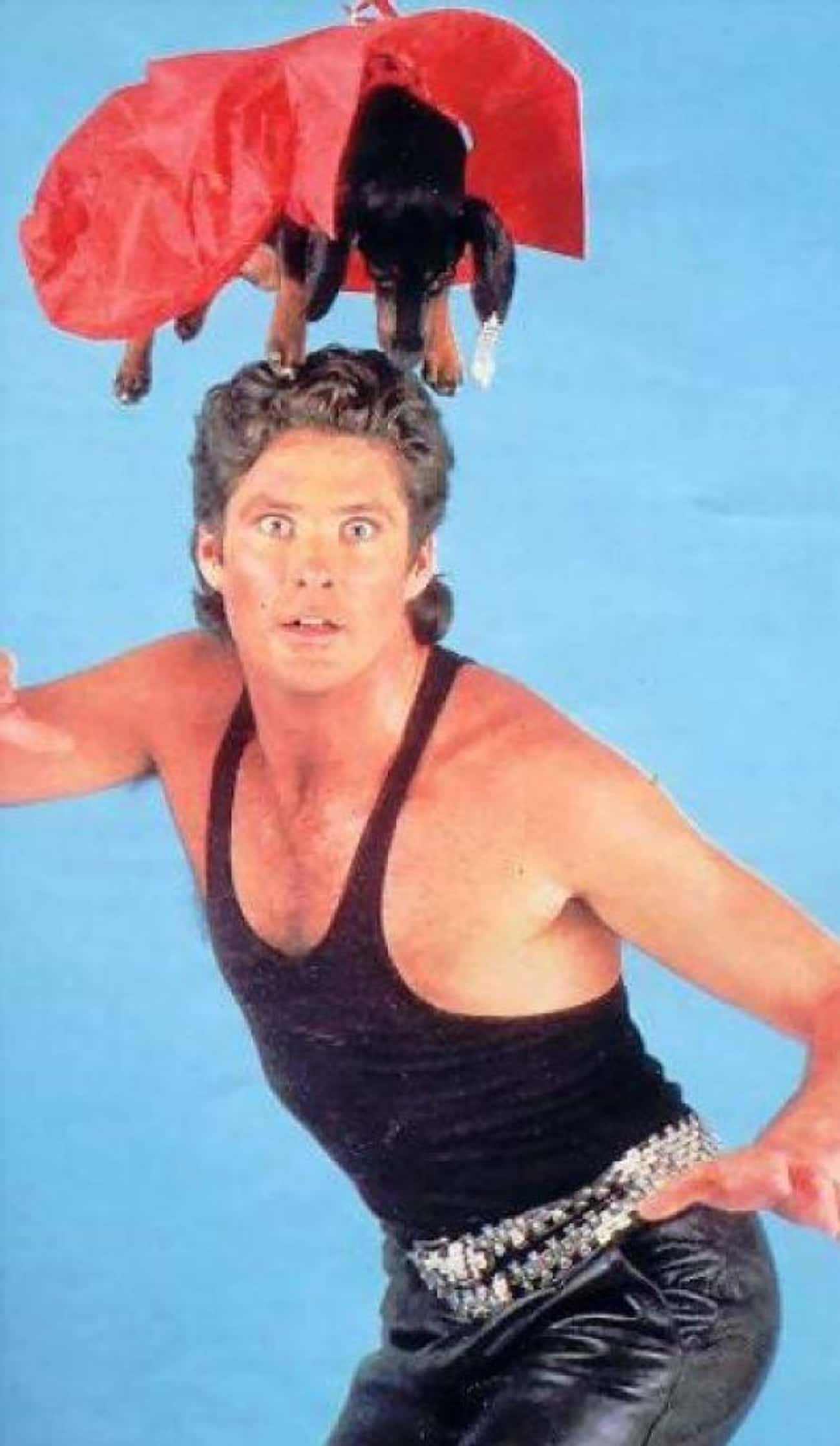 Definitely Don&#39;t Hassle This Hoff