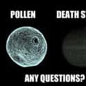 Pollen... It's Nothing to Sneeze At on Random Genius (and Nerdy) Discoveries Made by the Internet
