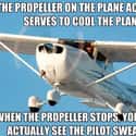 Plane and Simple on Random Genius (and Nerdy) Discoveries Made by the Internet