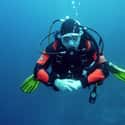 Operator Error Takes the Life of an Experienced Diver on Random Terrifying Scuba Accidents That Will Make You Think Twice About Diving