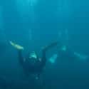 Disobeying Instructions Cause an Avoidable Diving Death on Random Terrifying Scuba Accidents That Will Make You Think Twice About Diving