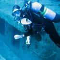 A Return Dive Ends in Death for Lithuanian Cave Diver on Random Terrifying Scuba Accidents That Will Make You Think Twice About Diving