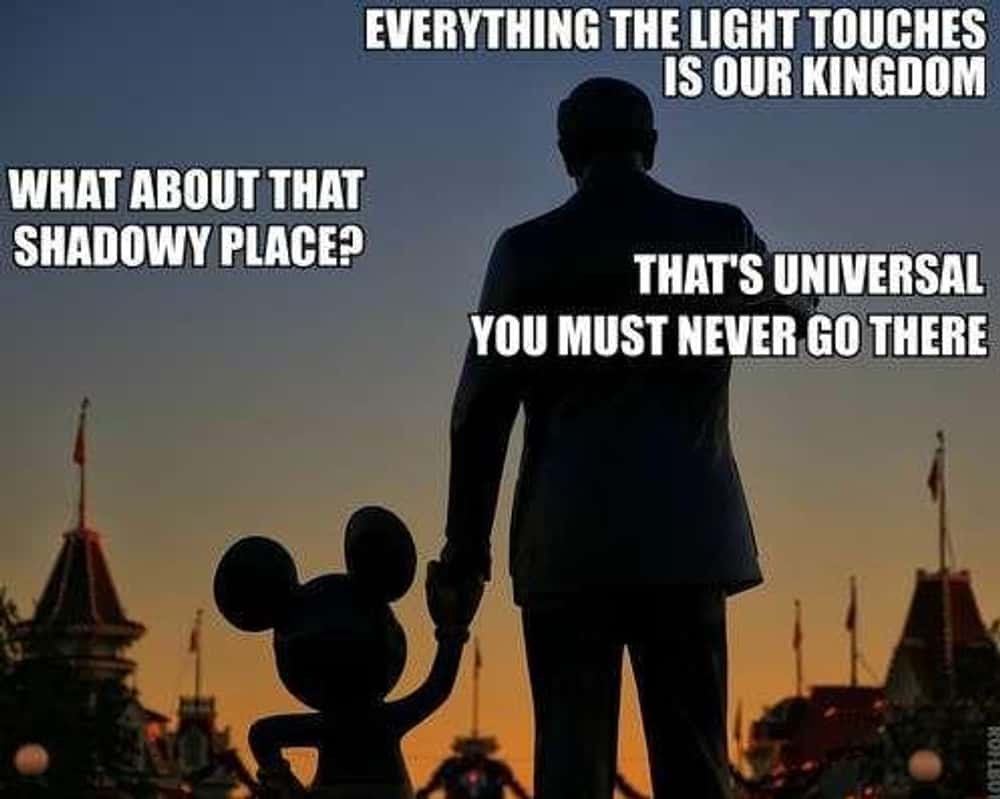 disneyland trip meme