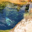At Least Eight Divers Have Perished in Jacob's Well Due to False Exits and Blinding Silt on Random Terrifying Scuba Accidents That Will Make You Think Twice About Diving