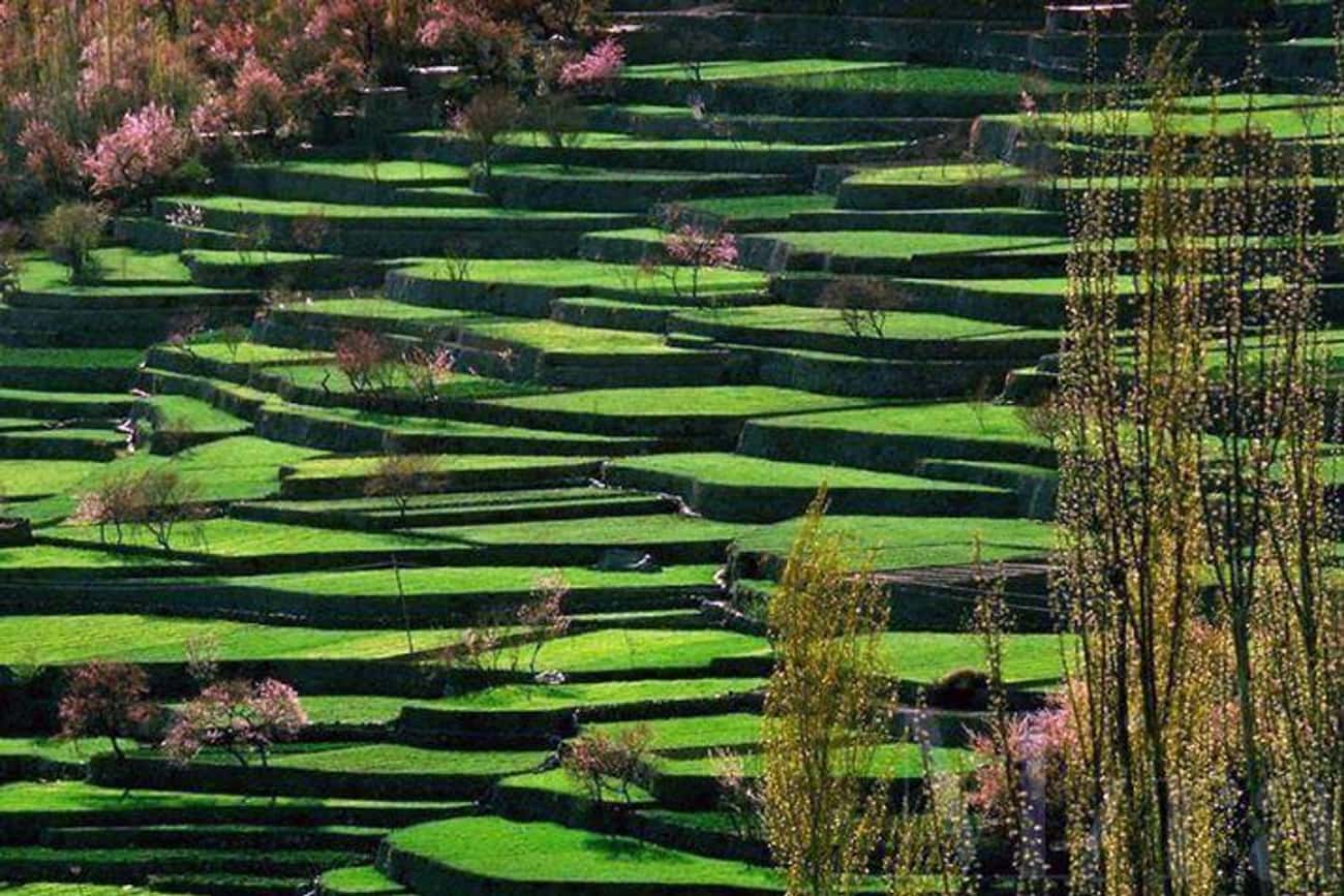 The Hunza Terraces of Pakistan