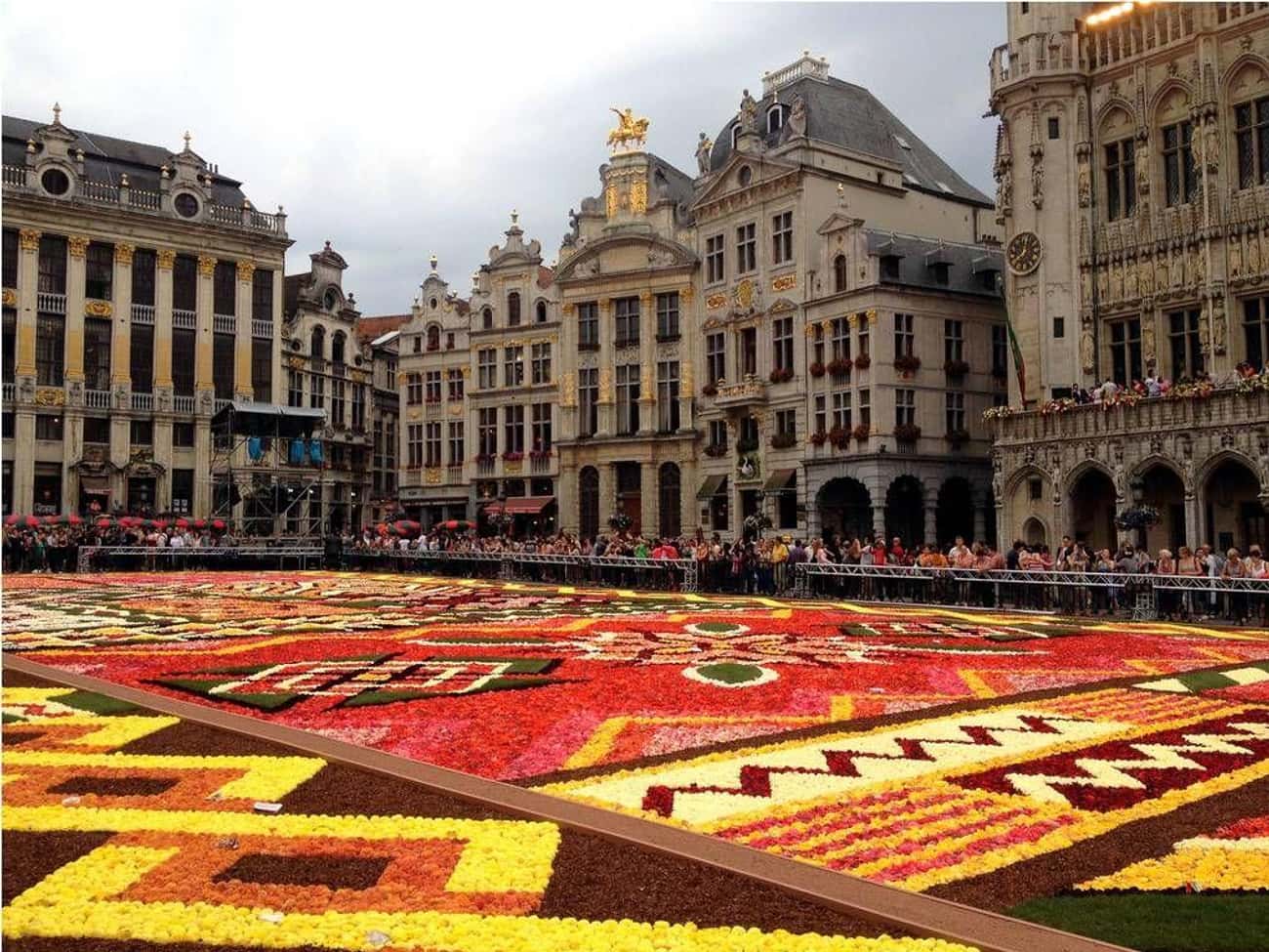 This Gorgeous Flower Floor In Brussels