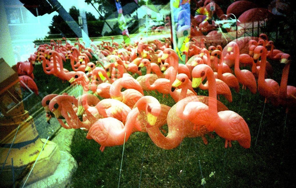 Popular Lawn Ornaments Everyone Has And Why They Became A Thing