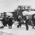 Displaced People Were Everywhre on Random Harsh Realities Of Life In Germany After WWII