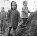Children Ran Wild on Random Harsh Realities Of Life In Germany After WWII