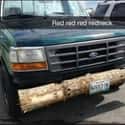Why Waste Money On a New Bumper When They  Grow In the Wild? on Random Most Hilarious Trucks