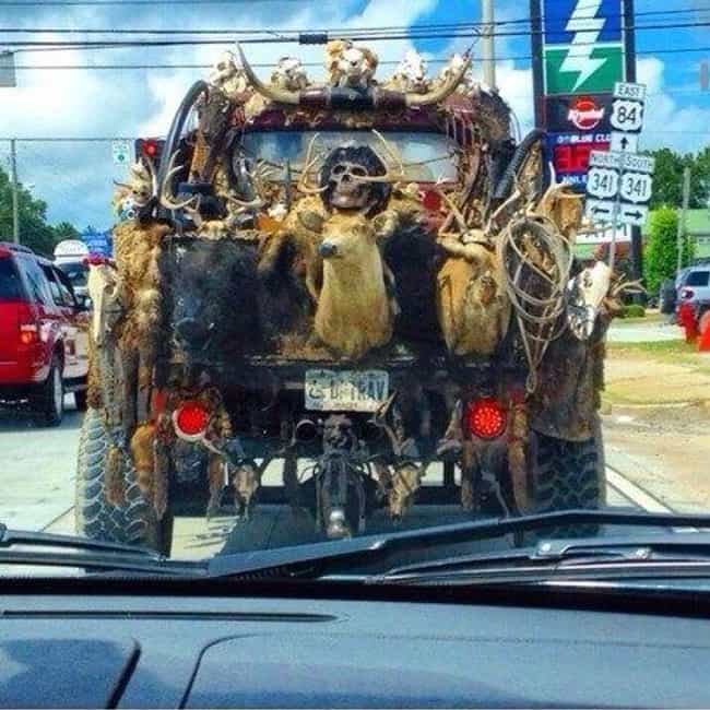 The Most Hilarious Redneck Trucks Of All Time ViraLuck