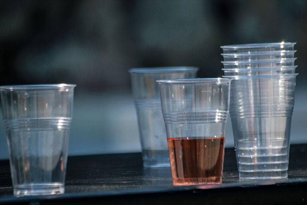 Everything You Need to Know About Gut Fermentation Syndrome